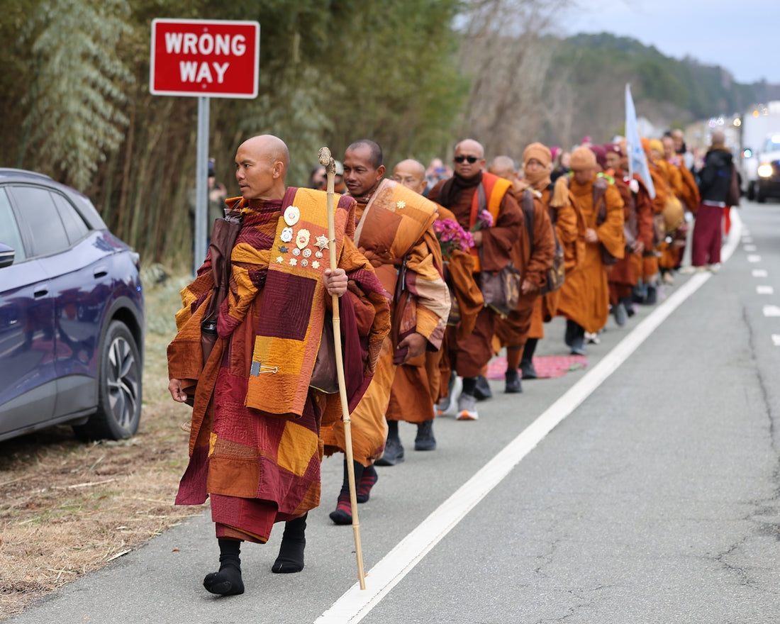 Monks in orange robes walk down a road